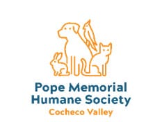 pope-thumbnail.jpg