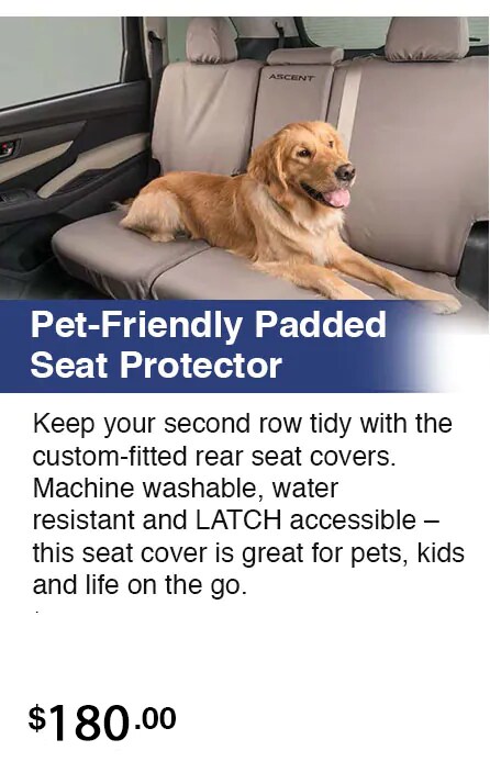 newseat2.jpg