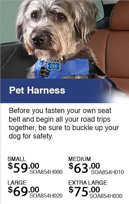 8_TCS_Products_PetHarness.jpg