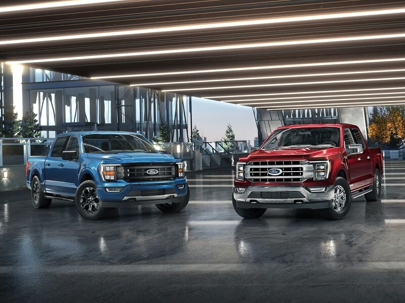 Two Ford F-150's Parked in Showroom