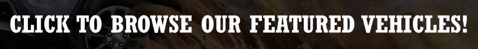 Silverthorne-VLP-Banner.png
