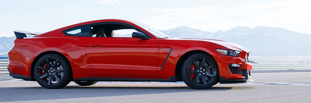 February_Tri-County_Mustang_Header_999x333.jpg