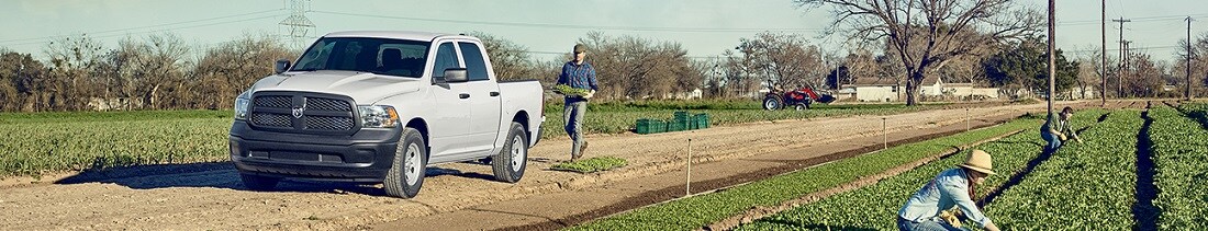 ram1.jpg