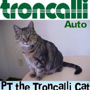 PT the Troncalli Cat PT the Troncalli Cat