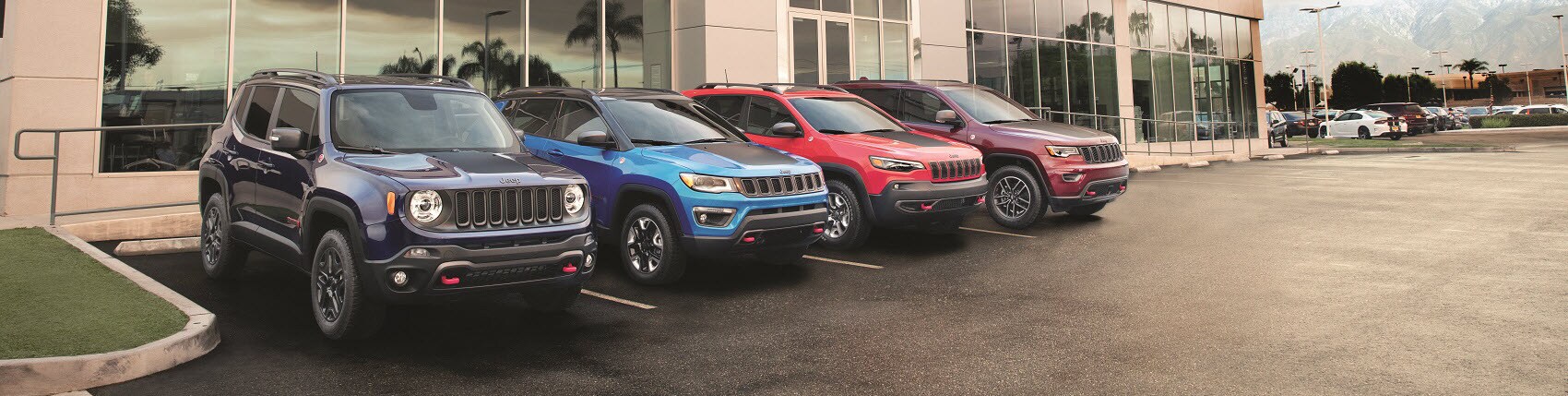 Jeep Line Up at Dealership