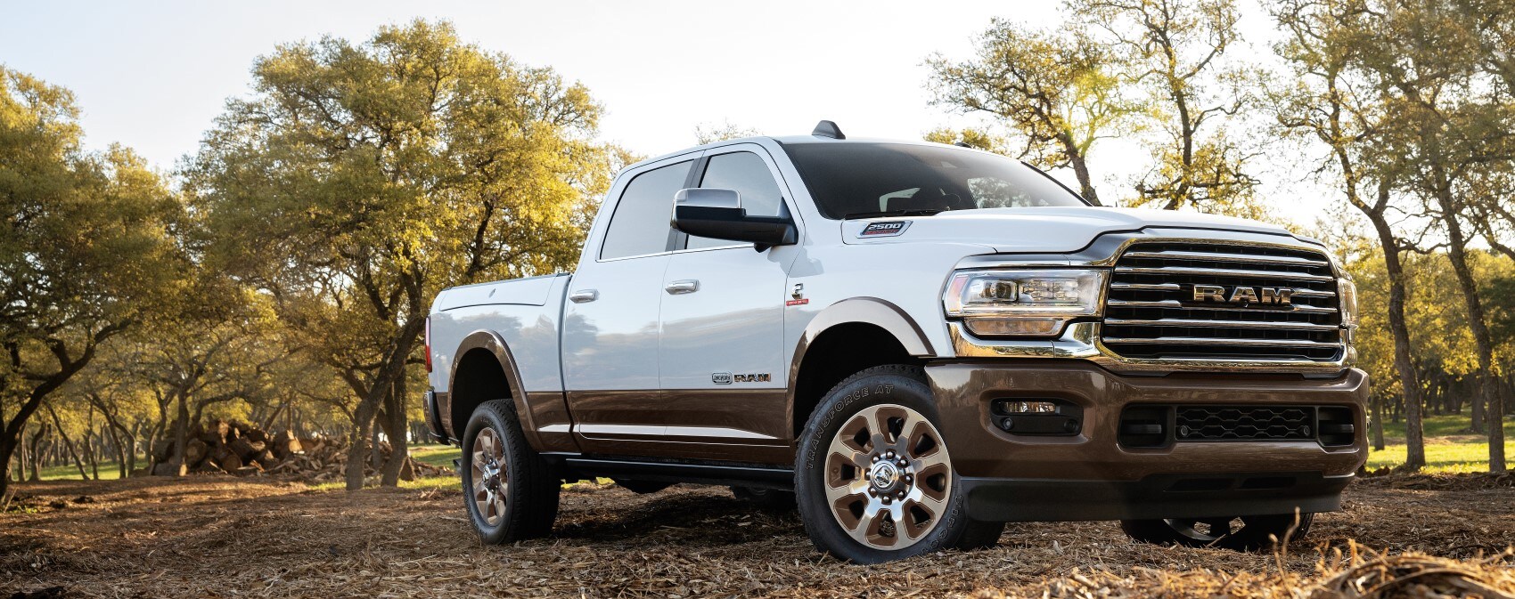 2021 Ram 2500
white exterior parked under trees.jpg