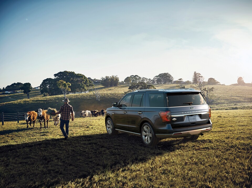 Shop New 2024 Ford Expedition for Sale in Orlando, FL