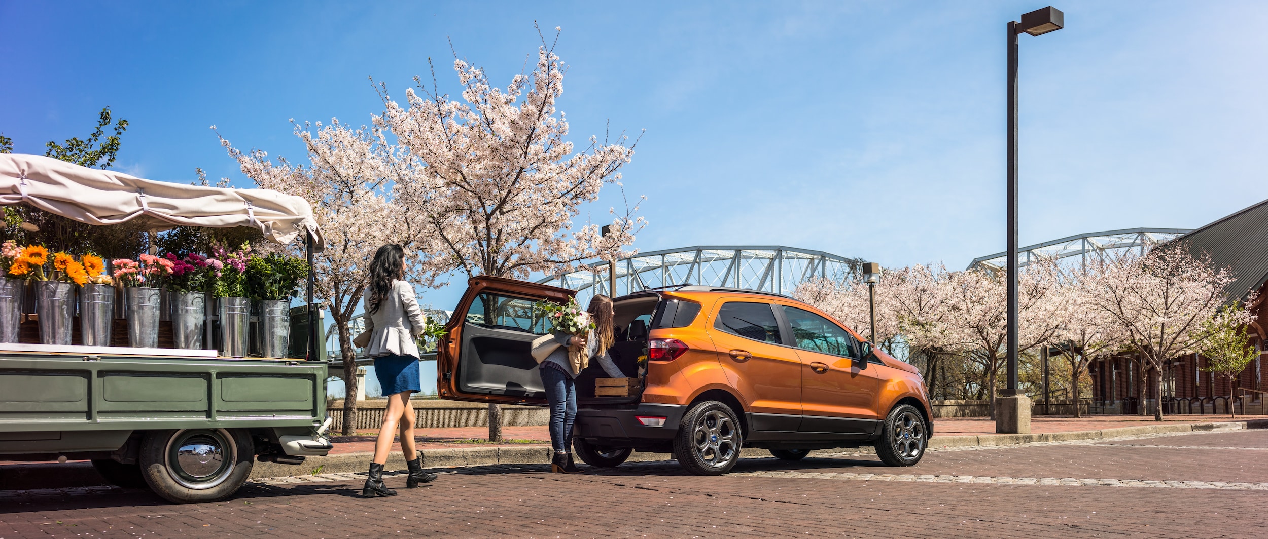 ford lifestyle another one.jpg