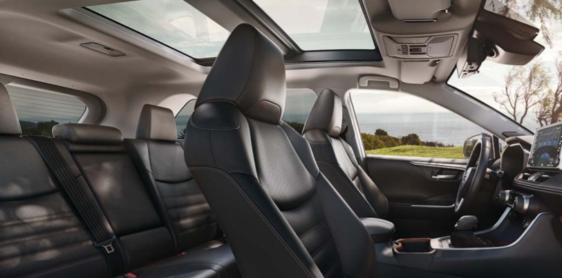 2020 Toyota RAV4 Interior