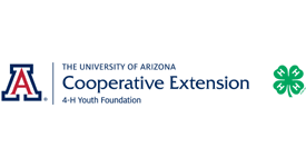 Community Partners