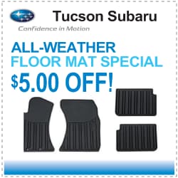 All-Weather Floor Mat Special