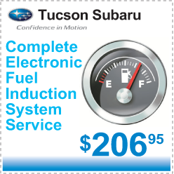 Complete Electronic Fuel Induction System Service.png