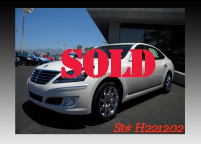 equus-stock-11-SOLD.jpg