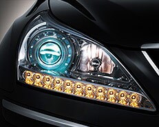 EQUUS LIGHTS.jpg