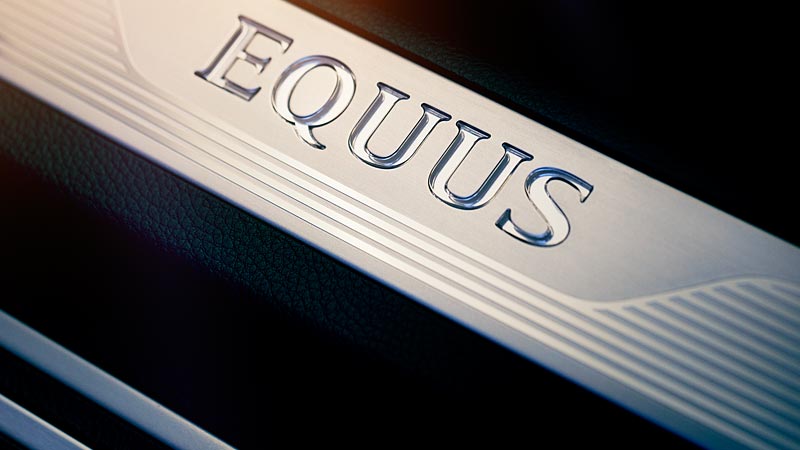 equus 1.jpg