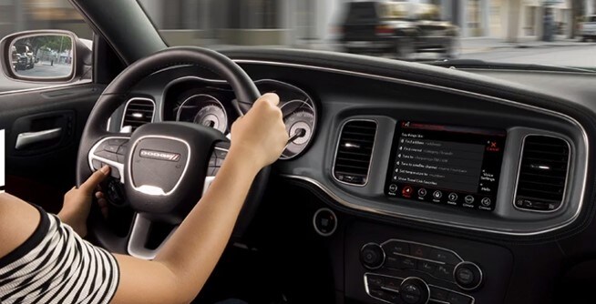 inside driver.jpg