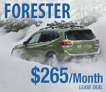 2020 Subaru Forester Lease Deal 2020 Subaru Forester Lease
Deal