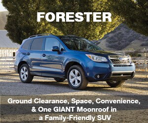 Learn More about the Forester Compare Subaru Forester