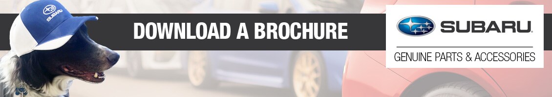 subaru accessories brochures