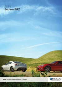 2014-brz.jpg