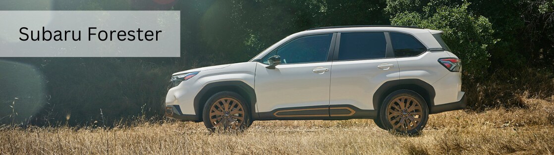 Subaru Forester Lease & Finance Offers | Drive Yours Today!