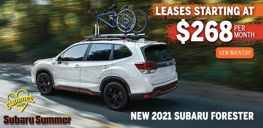 Twin City Subaru Forester Lease Deal Twin City Subaru Forester Lease Deal