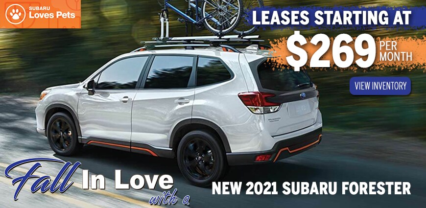Twin City Subaru Forester Lease Deal Twin City Subaru Forester Lease Deal