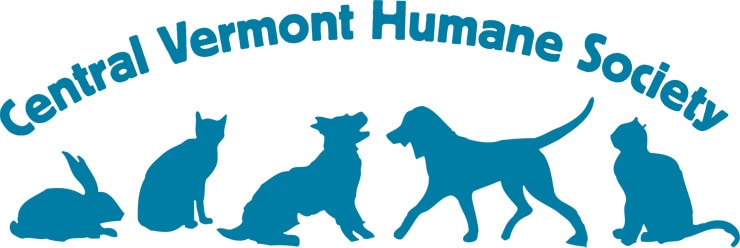 CVHS-logo-web.jpg