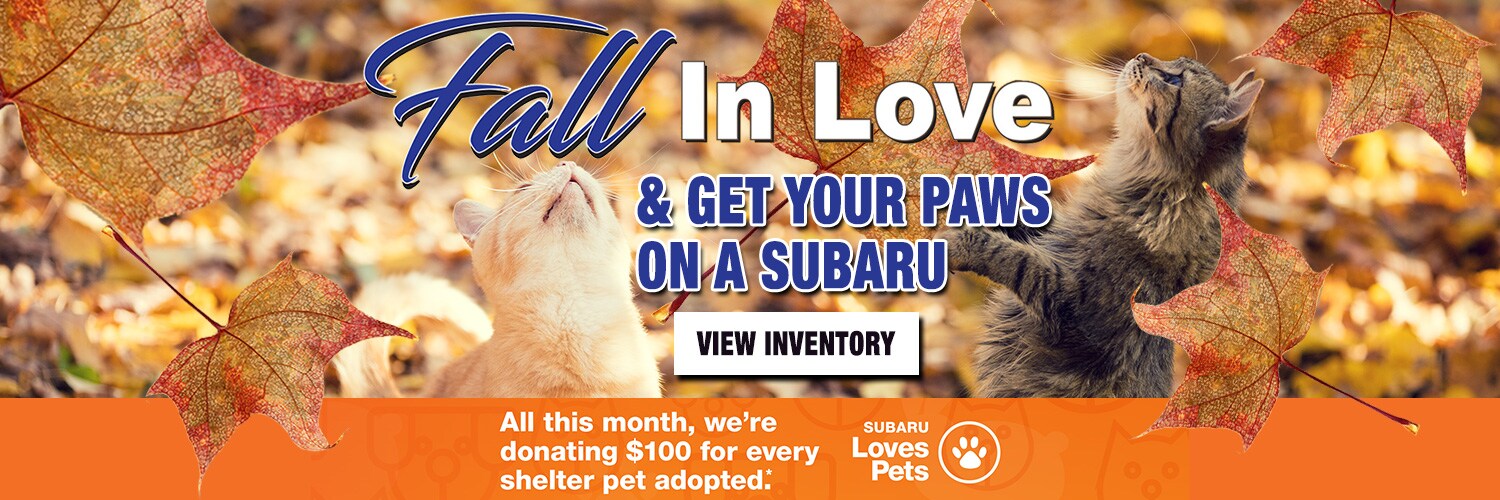fall-in-love-logo.jpg
