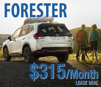 2023 Subaru Forester Lease Deal 2023 Subaru Forester Lease Deal