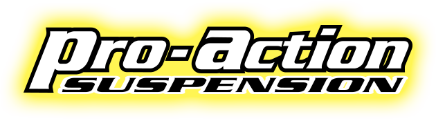 pro-action-suspension.png