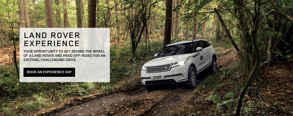 LR Experience Header 2.png