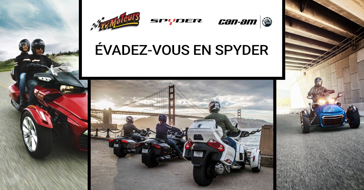 Visuel location publicite.png