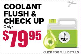 Coolant Flush & Check Up