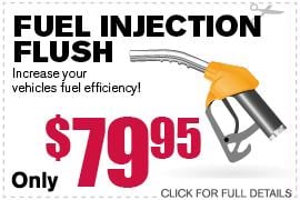 Fuel Injection Flush