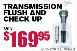 Transmission Flush And Check Up