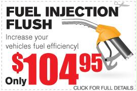 Fuel Injection Flush