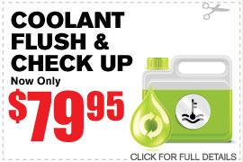 Coolant Flush & Check Up Coolant Flush & Check Up