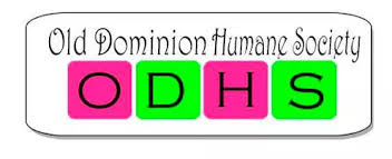 ODHS logo.jpg