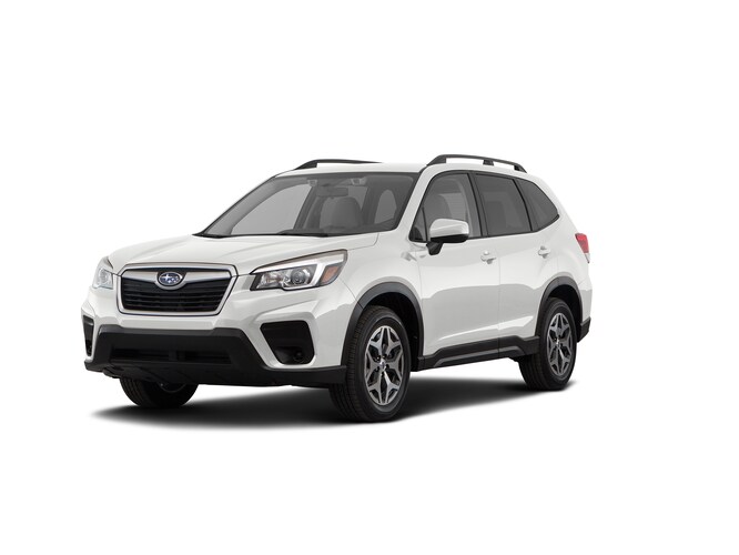 FORESTER.jpg