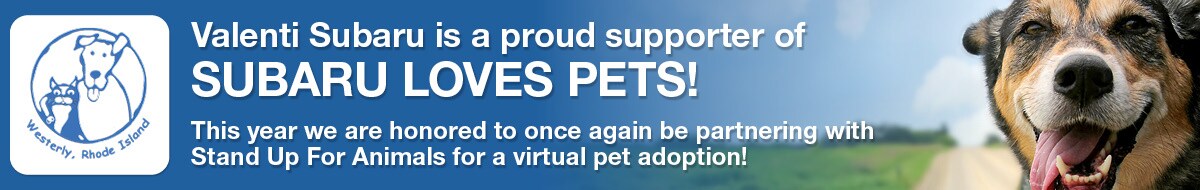 Pets1200x37523 2020 .jpg
