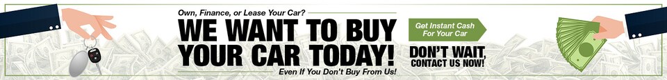 We Want to Buy Your Car