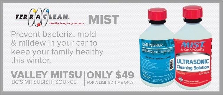 valley-mitsu_serviceterraclean_mist_limitedtime_8D13E698EFE27CE0.jpg