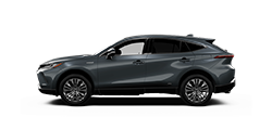 Venza