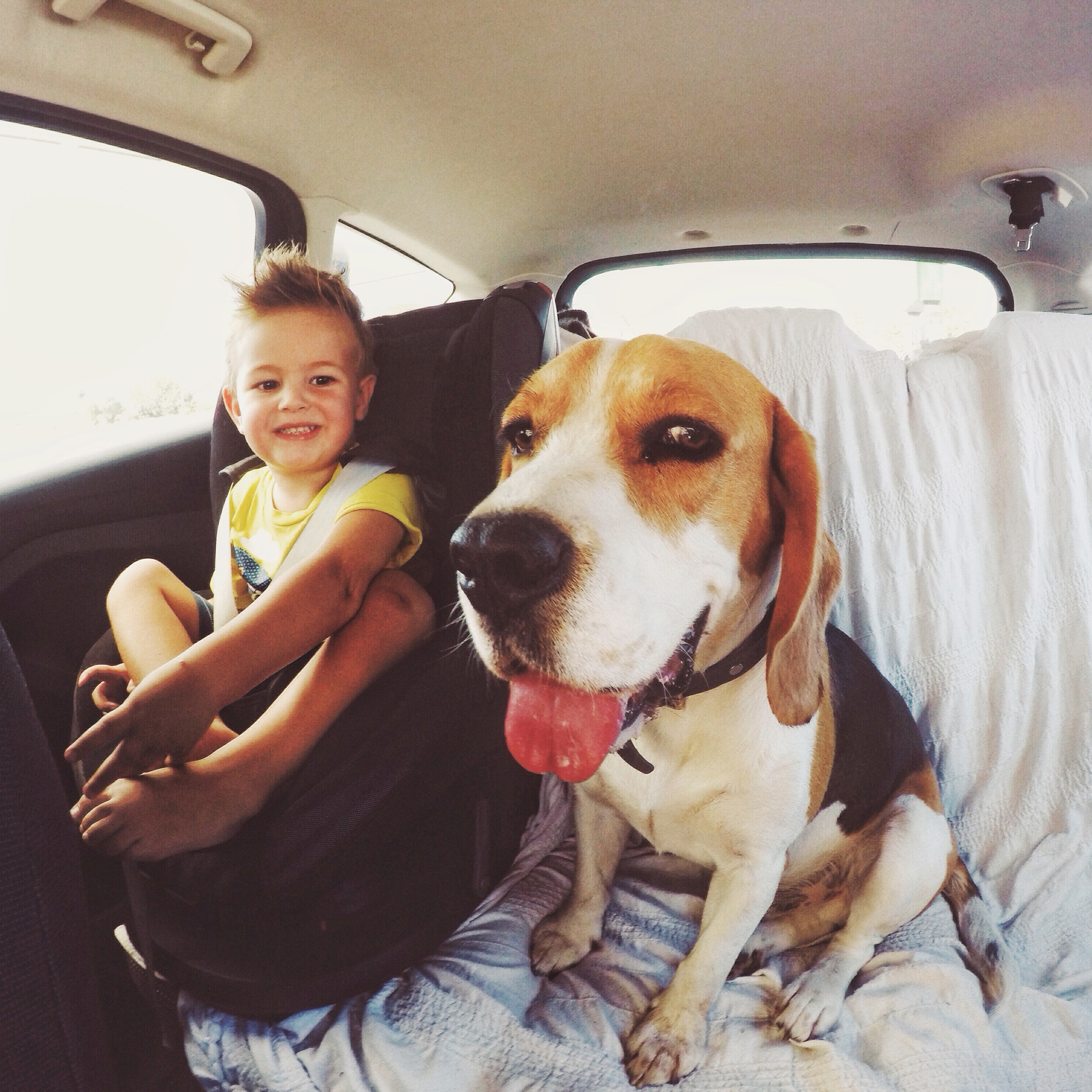 best-suv-for-dogs-phil-long-used-car-dealership-colorado-springs.jpg boy smiling with dog in the backseat