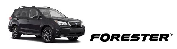 Forester600.jpg