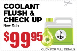 Coolant Flush & Check Up