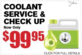 Coolant Flush & Check Up