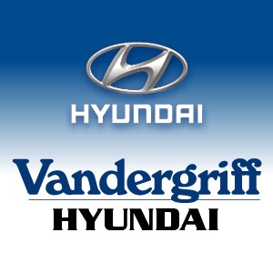 VgHy_Service-Page-Logo-Box-300x300.png