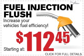 Fuel Injection Flush Service